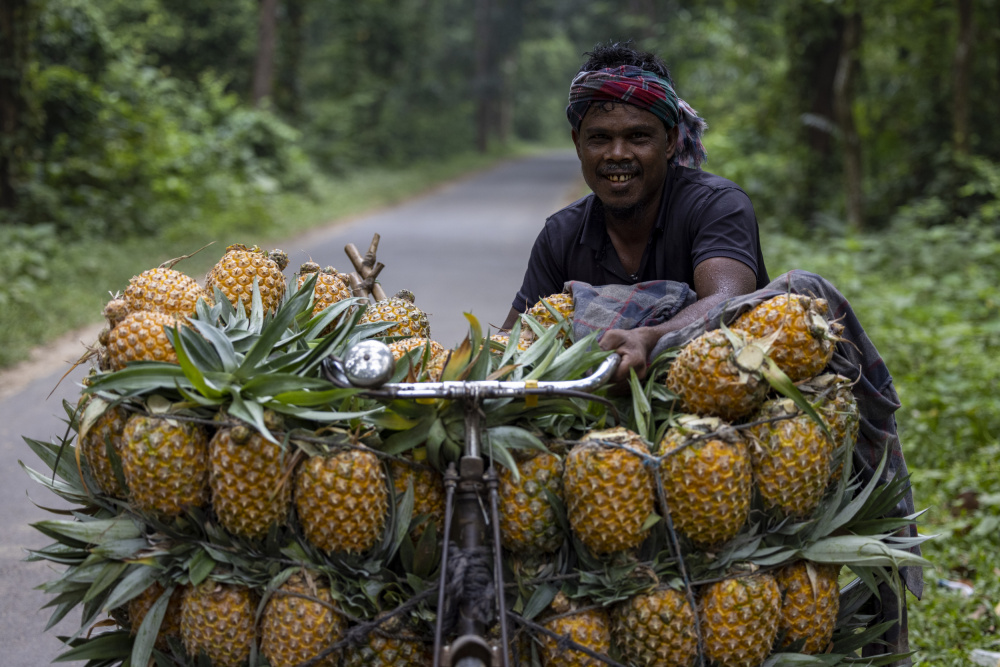 Pineapple farmer von Azim Khan Ronnie