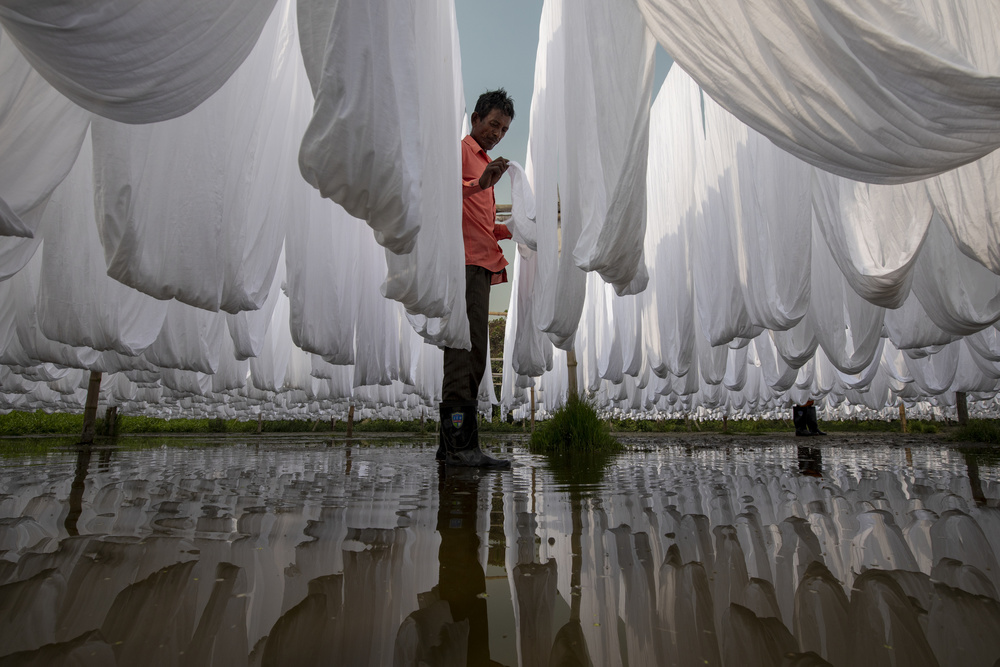 Working in white cloth von Azim Khan Ronnie