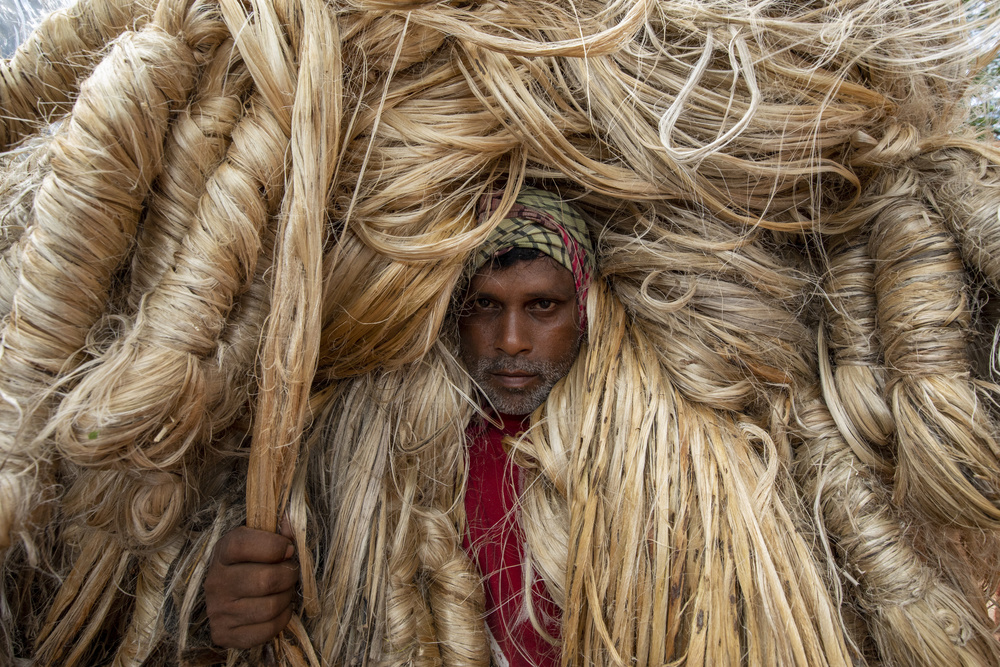 Workers carry heavy jute fibers on their shoulders von Azim Khan Ronnie