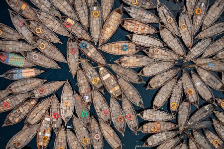 Flower of boats