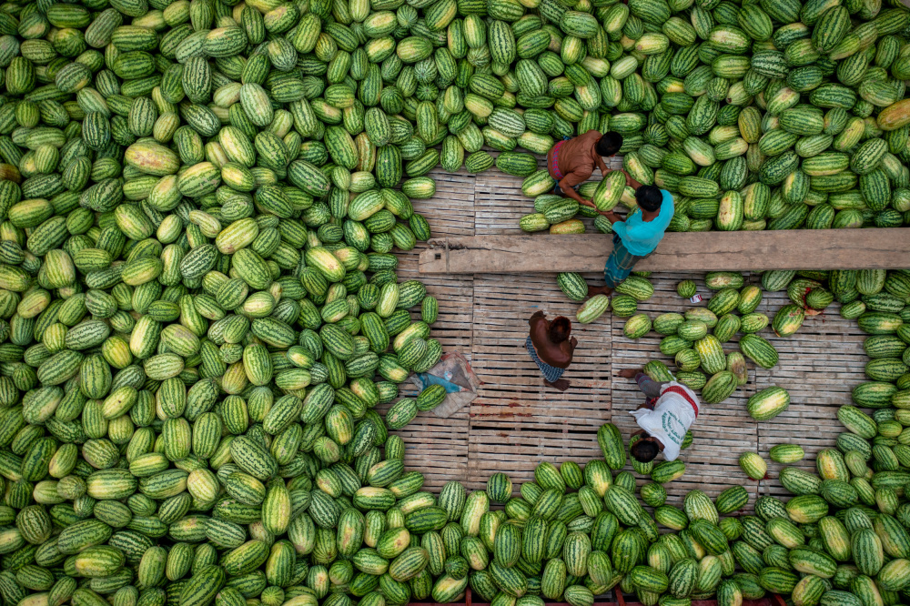 Boats of huge watermelons von Azim Khan Ronnie