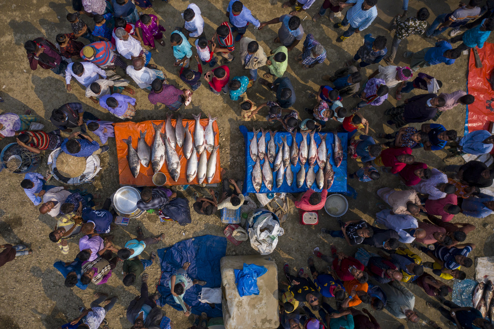 Fish fair von Azim Khan Ronnie