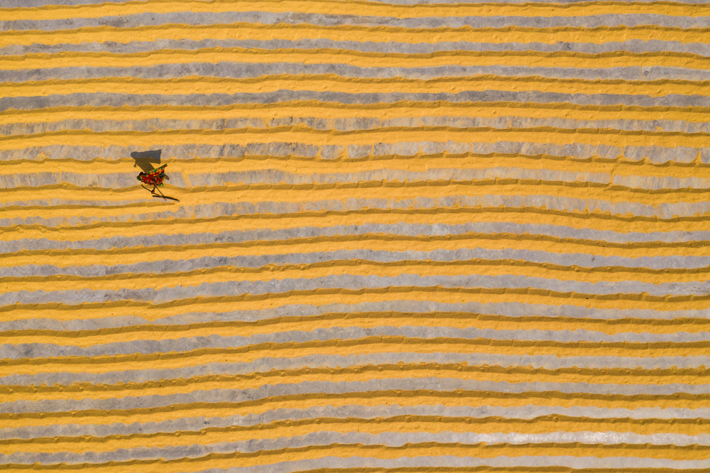 Woman working in rice field von Azim Khan Ronnie