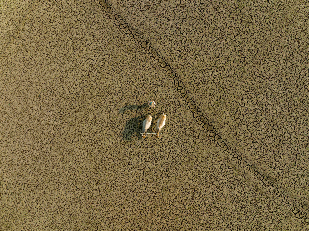 Dried land von Azim Khan Ronnie