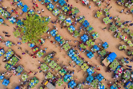 Largest fruit market