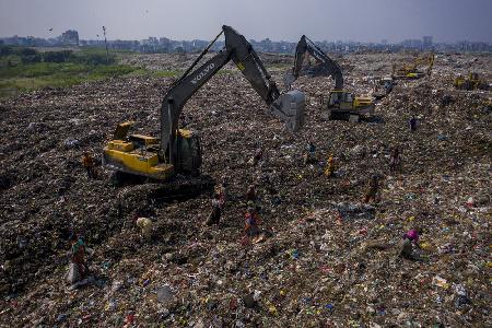 Life in waste garbage