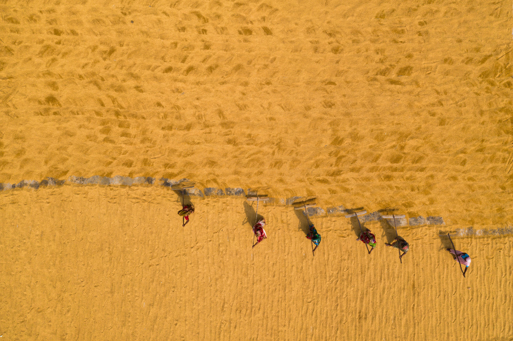 Drying rice in the sun von Azim Khan Ronnie