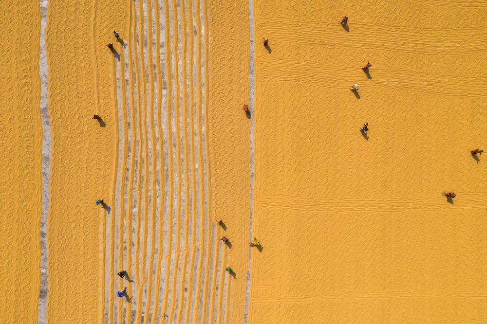 Drying rice under sunlight von Azim Khan Ronnie