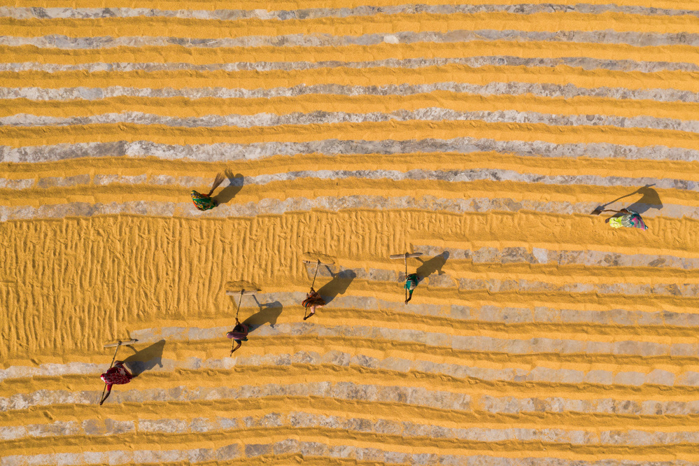 Rice drying von Azim Khan Ronnie