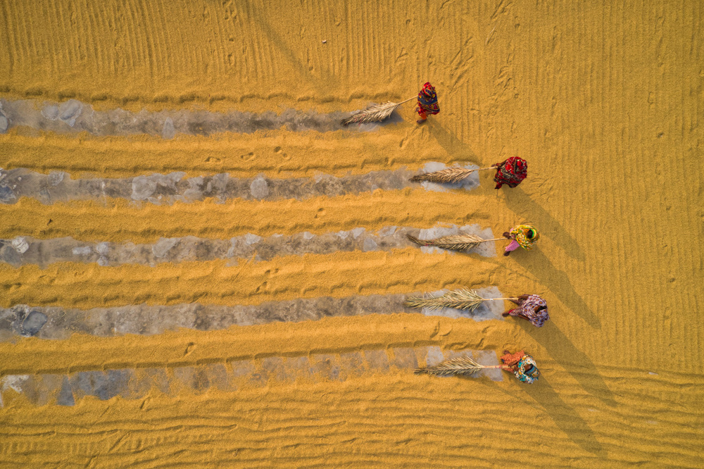 Rice drying von Azim Khan Ronnie