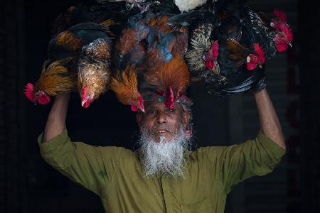 Cock seller