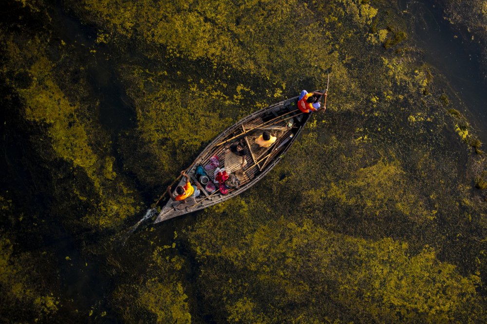 Crossing the algae lake von Azim Khan Ronnie