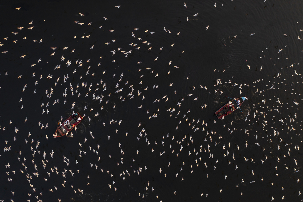 Birds on the boats von Azim Khan Ronnie