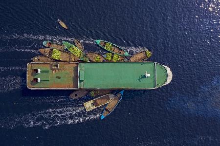 Unload watermelons from the big boat