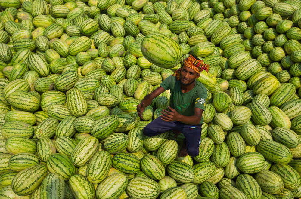 Watermelons worker von Azim Khan Ronnie