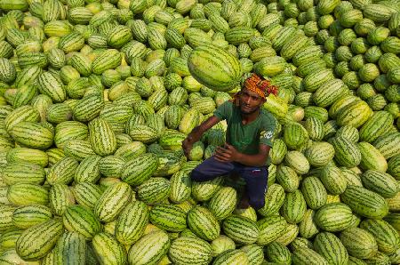 Watermelons worker