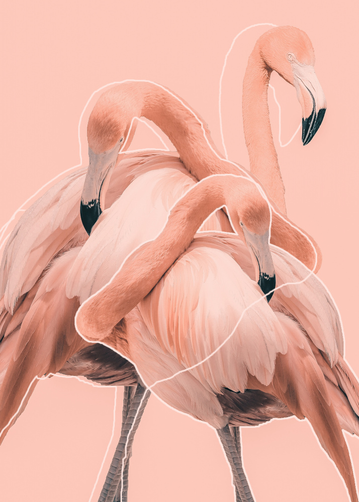 Flamingos nr. 1 von Baard Martinussen