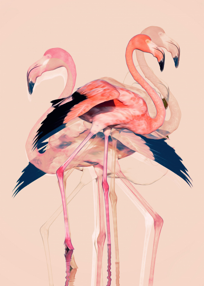 Flamingos nr. 3 von Baard Martinussen