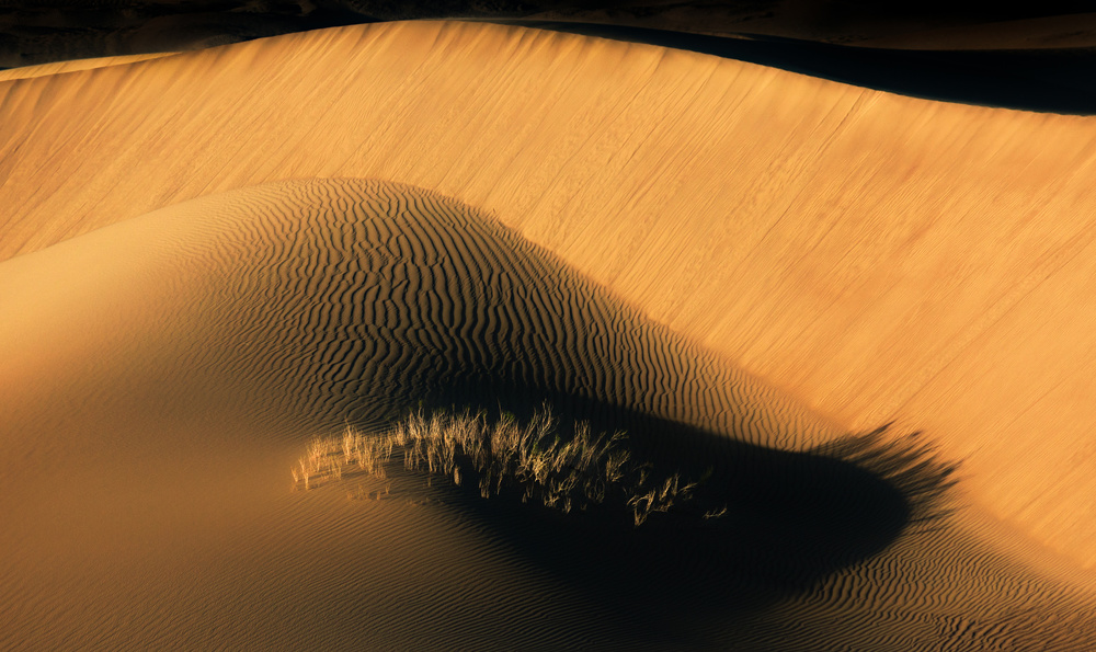 The eyelashes of desert von Babak Mehrafshar EFIAP (Bob)