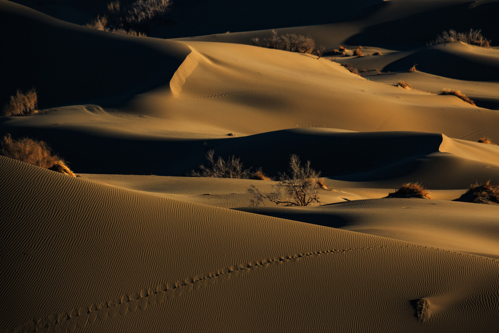 footprints von Babak Mehrafshar EFIAP (Bob)