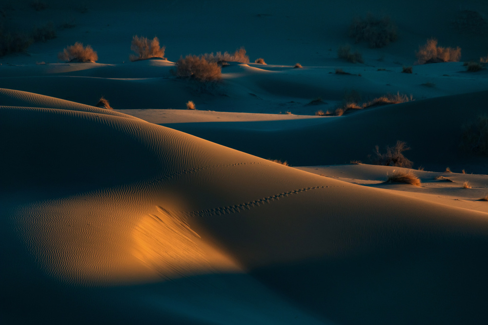 footprints 3 von Babak Mehrafshar EFIAP (Bob)