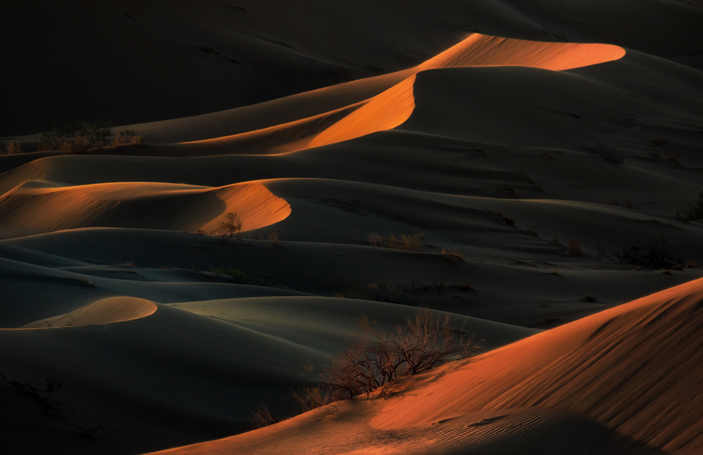 desert presence von Babak Mehrafshar EFIAP (Bob)