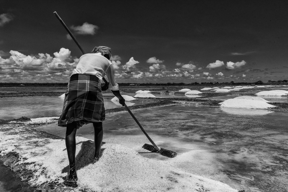 Marakanam Saltpan von BALASUBRAMANIAN GV