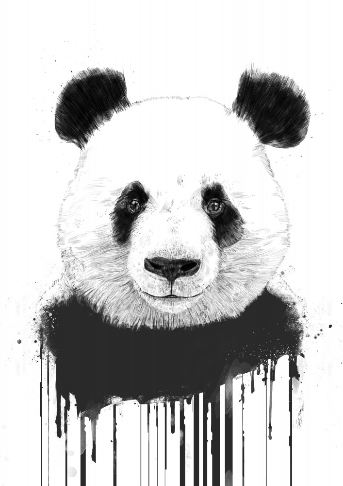 Graffiti panda von Balazs Solti