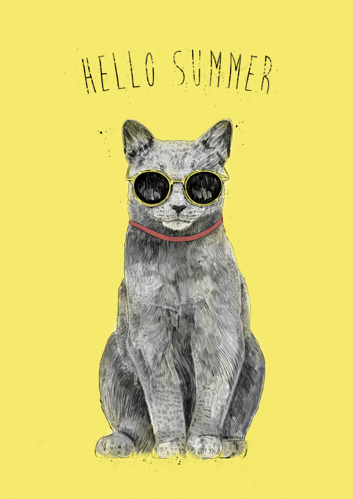 Hello Summer von Balazs Solti