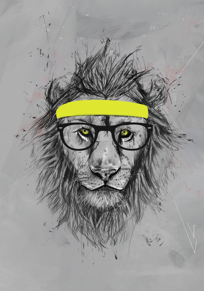 Hipster lion von Balazs Solti