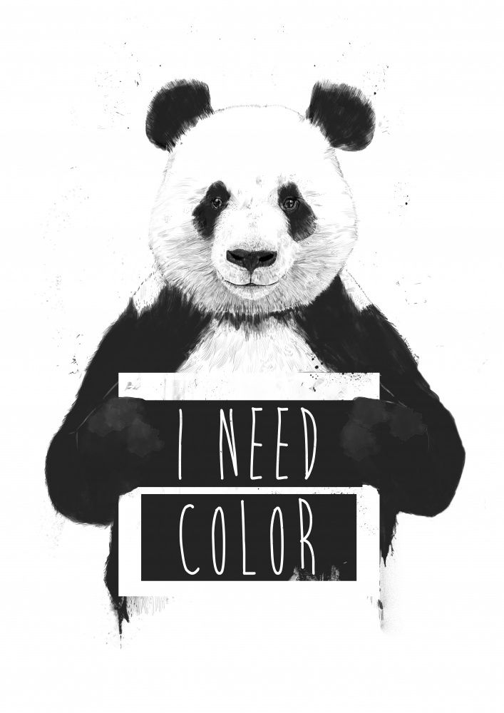 I need color von Balazs Solti