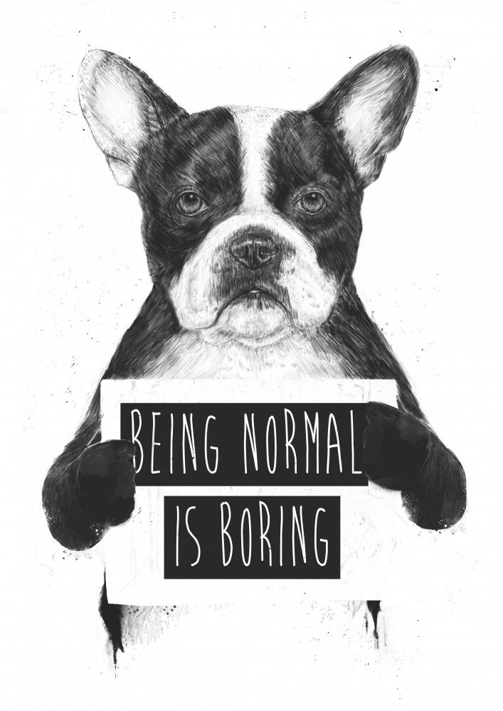 Being Normal Is Boring von Balazs Solti