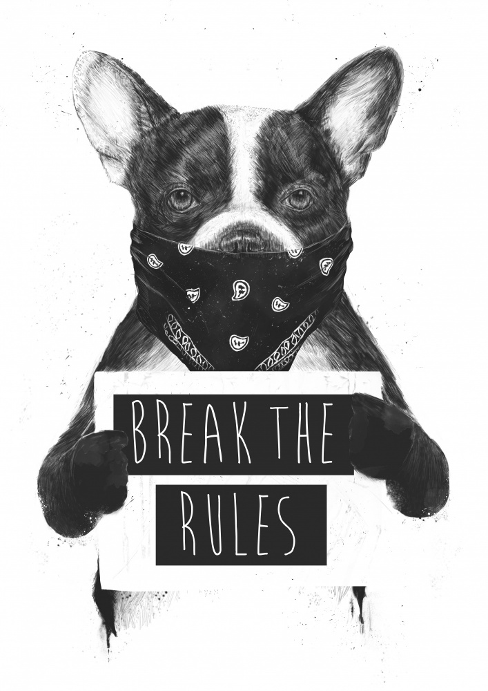 Rebel dog von Balazs Solti