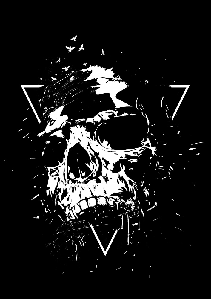 Skull X (bw) von Balazs Solti