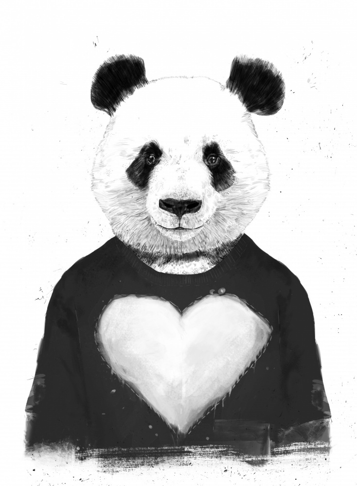 Lovely Panda von Balazs Solti