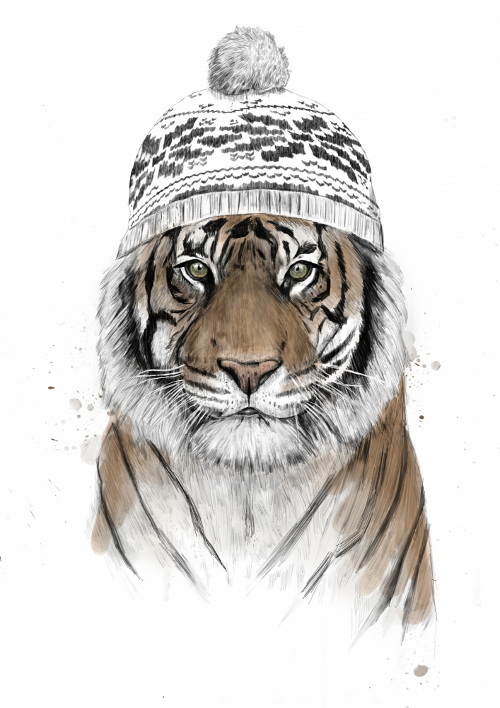 Siberian tiger von Balazs Solti