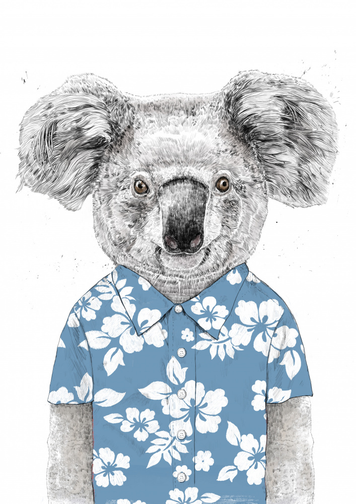 Summer Koala (blue) von Balazs Solti