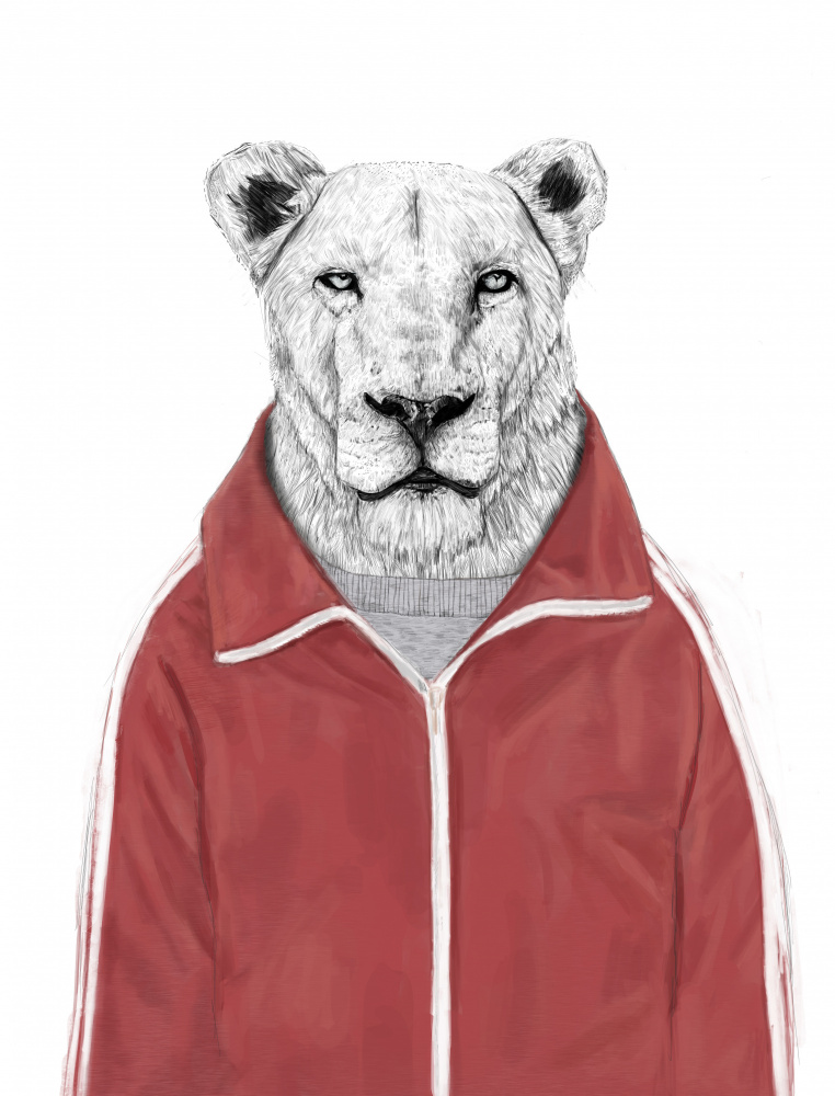 Sporty Lion von Balazs Solti