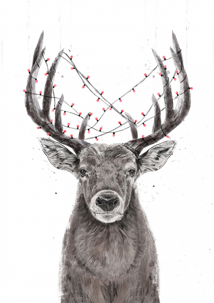 Xmas deer von Balazs Solti