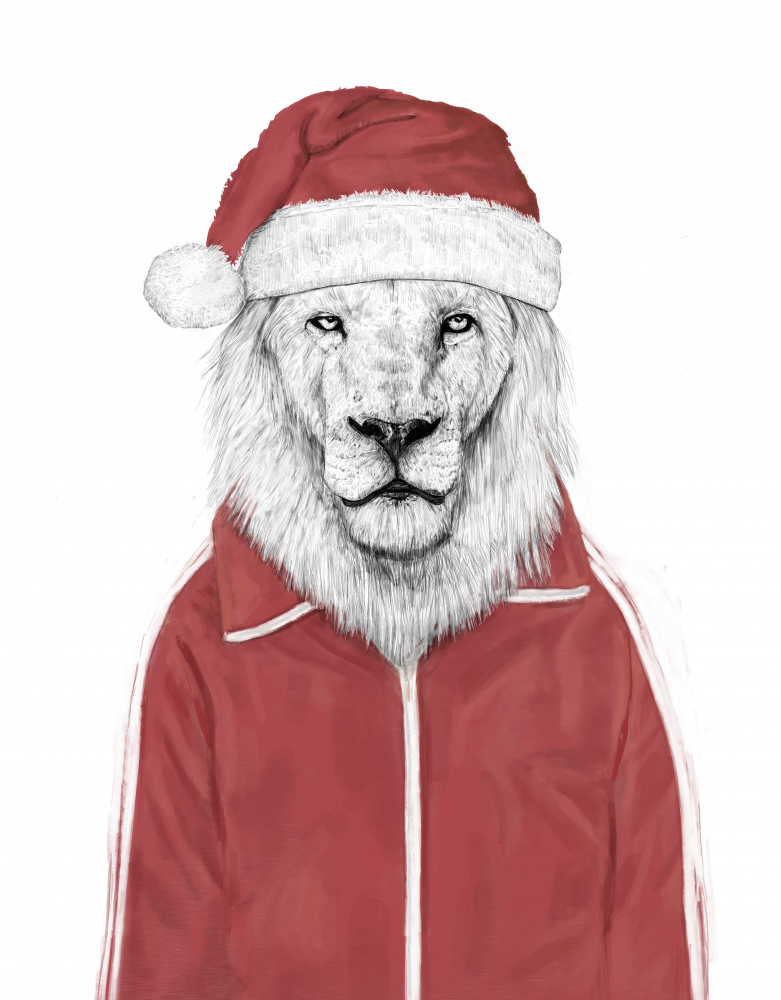 Santa lion von Balazs Solti