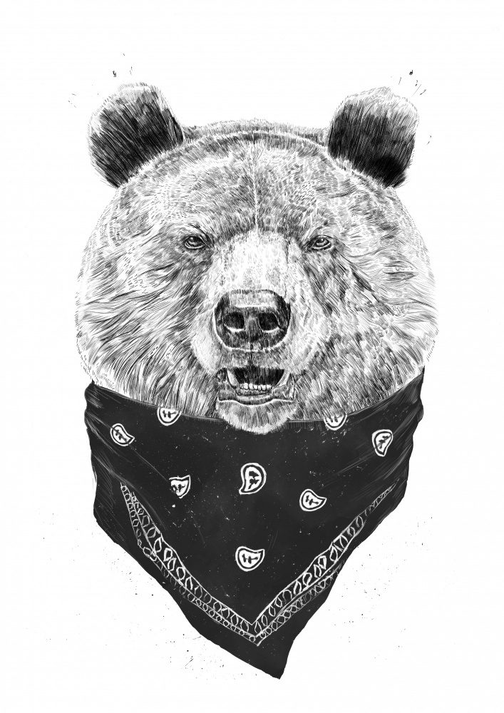 Wild bear von Balazs Solti