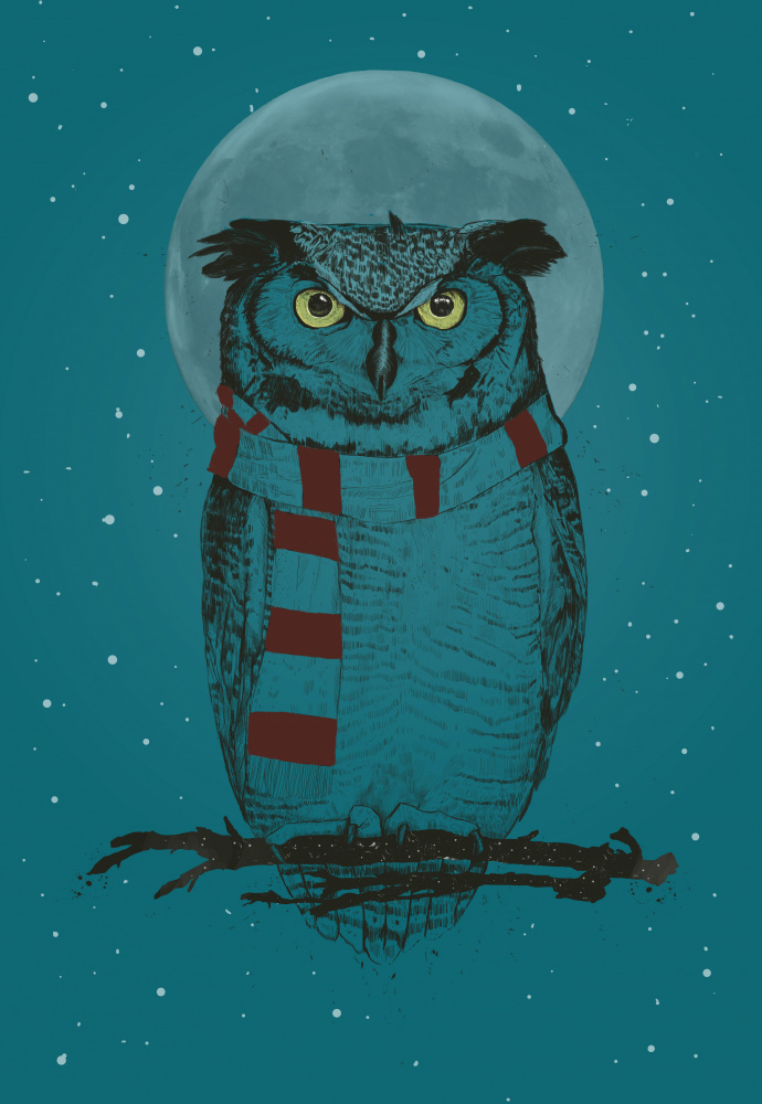 Winter owl von Balazs Solti