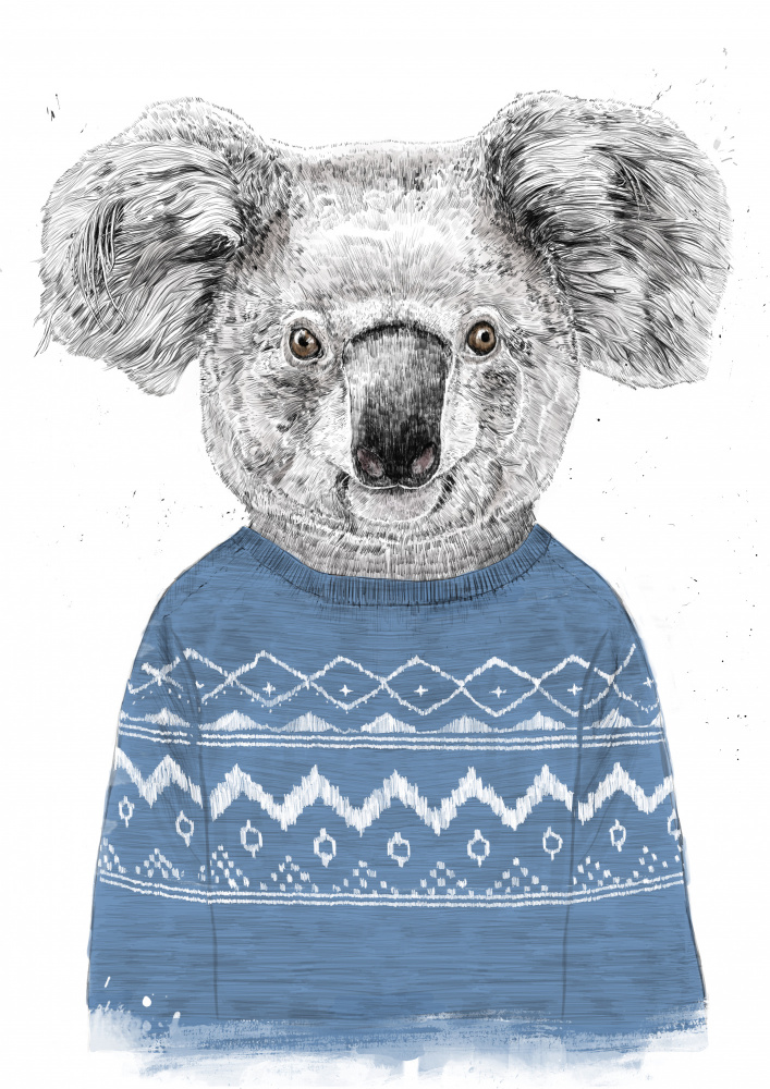 Winter koala (blue) von Balazs Solti