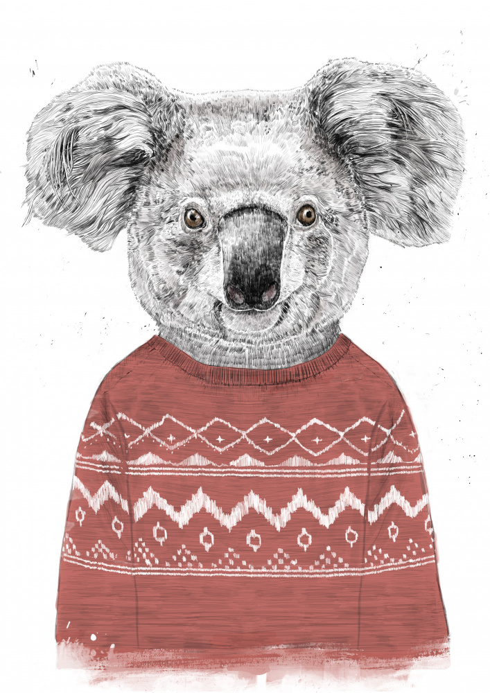 Winter koala (red) von Balazs Solti