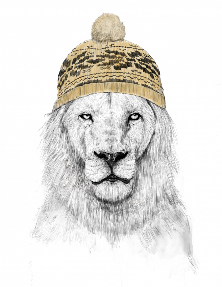 Winter Lion von Balazs Solti