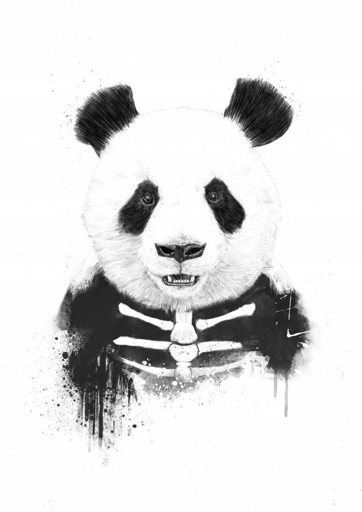 Zombie Panda von Balazs Solti