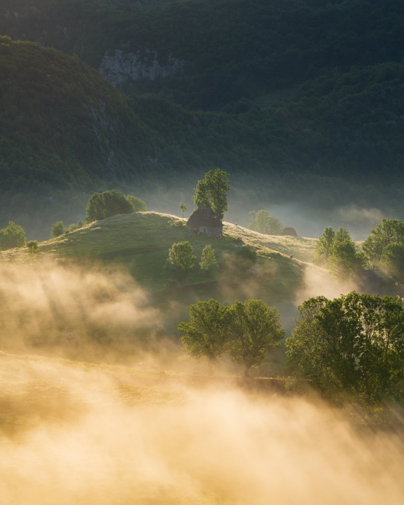 The sunrays of dawn von Baldea Victor