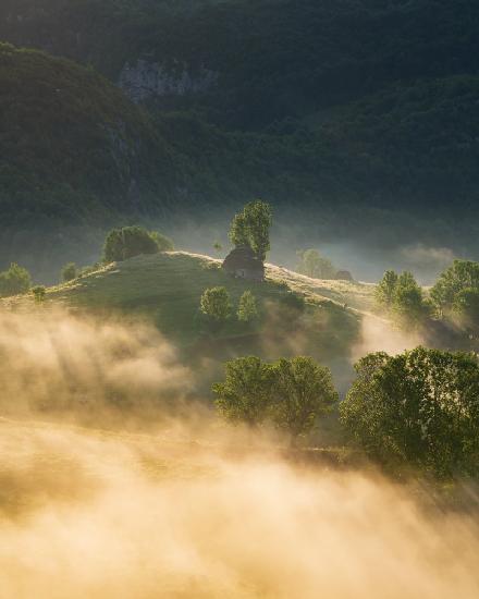 The sunrays of dawn