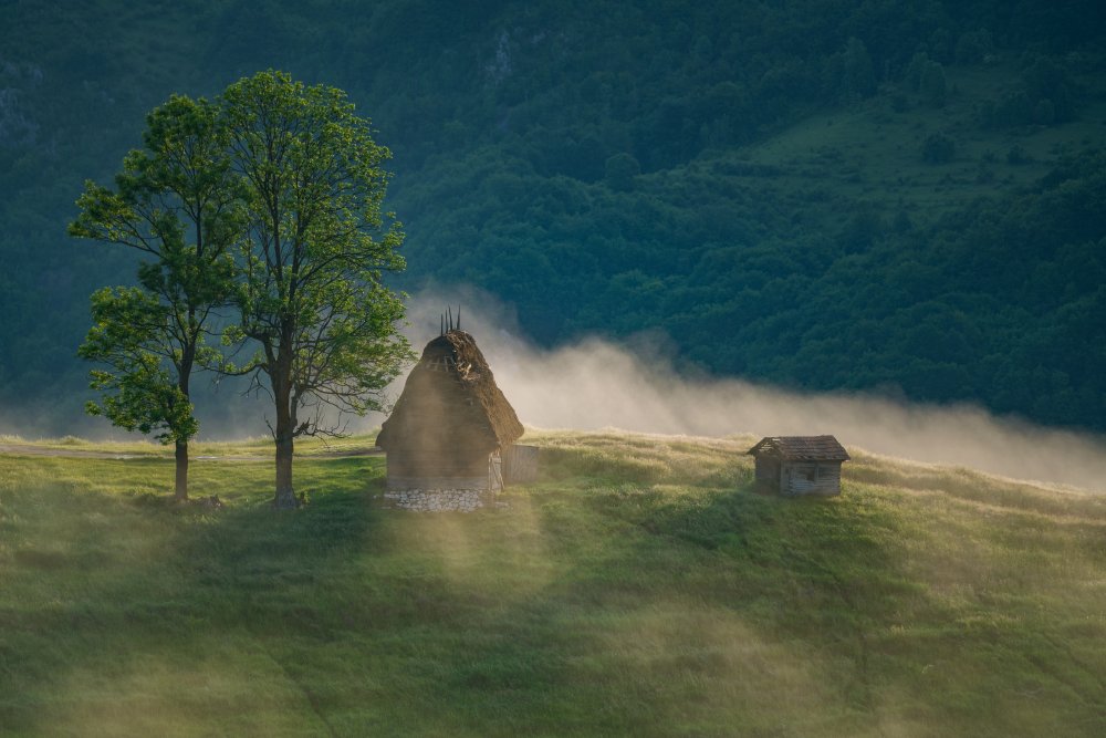 Peace and harmony von Baldea Victor