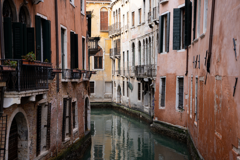 Venice Streets von Barak Shacked